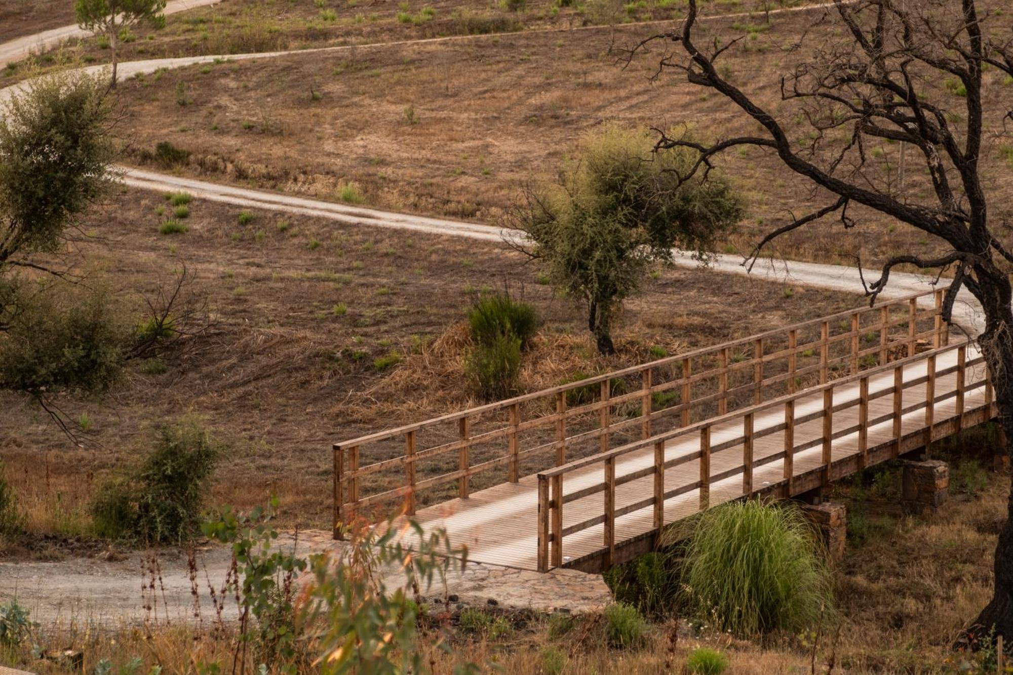 Гостевой дом Teima, Alentejo Sw Сан-Теотониу Экстерьер фото