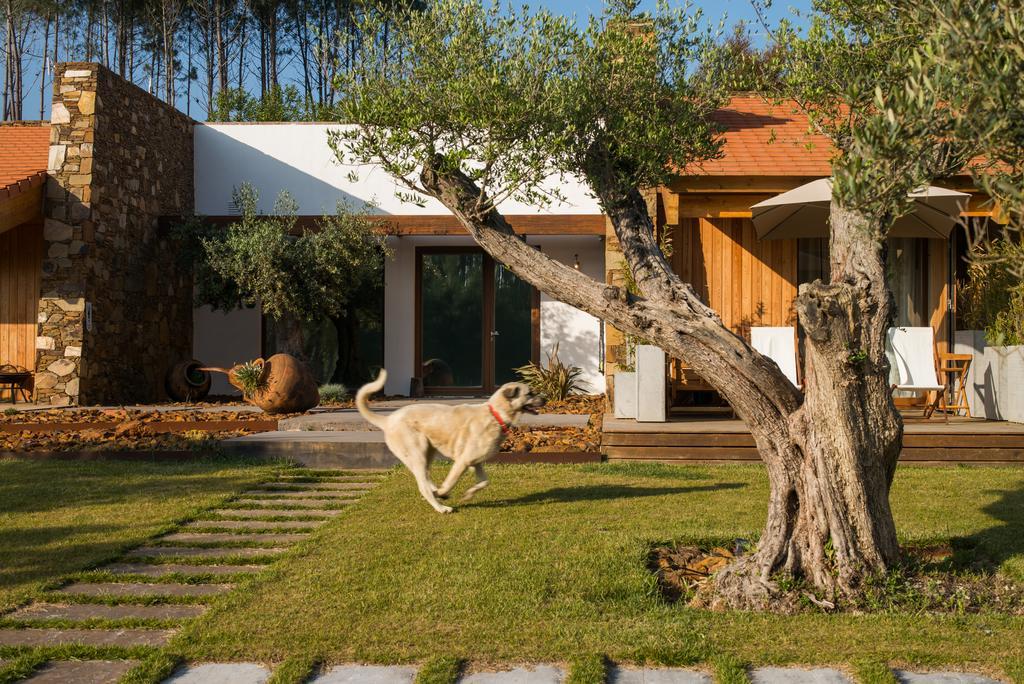 Гостевой дом Teima, Alentejo Sw Сан-Теотониу Экстерьер фото